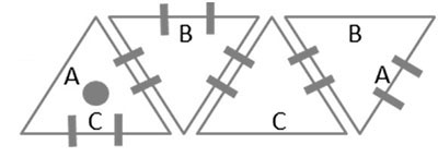 montagecigalefig1